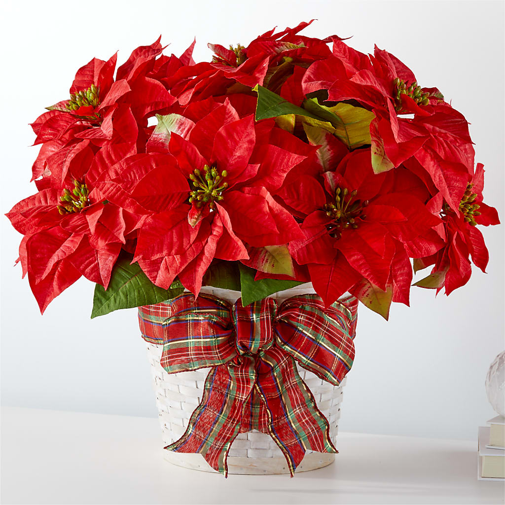 Happiest Holidays Poinsettia – Golden Gate Flowers, Naples FL