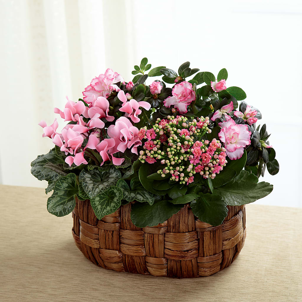 Pink Assortment – Golden Gate Flowers, Naples FL