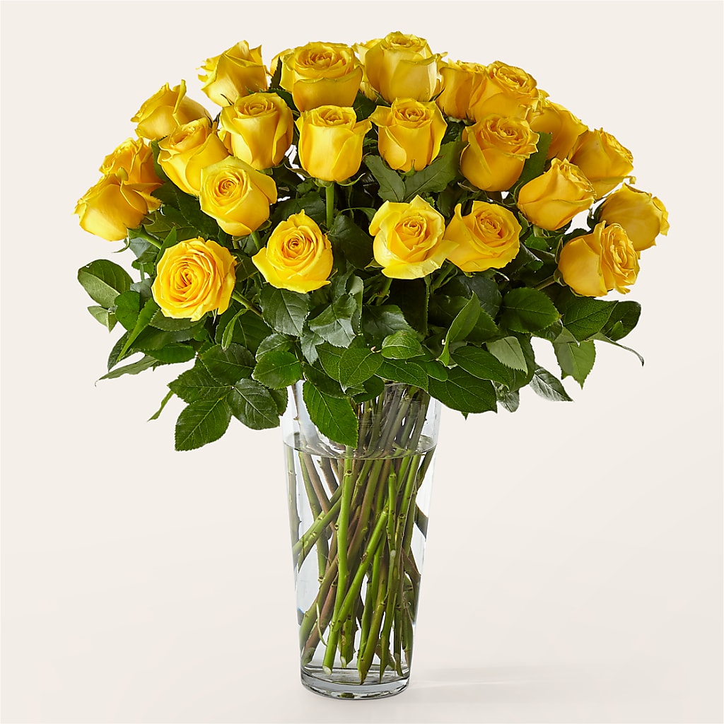 Long Stem Yellow Rose Bouquet – Golden Gate Flowers, Naples FL