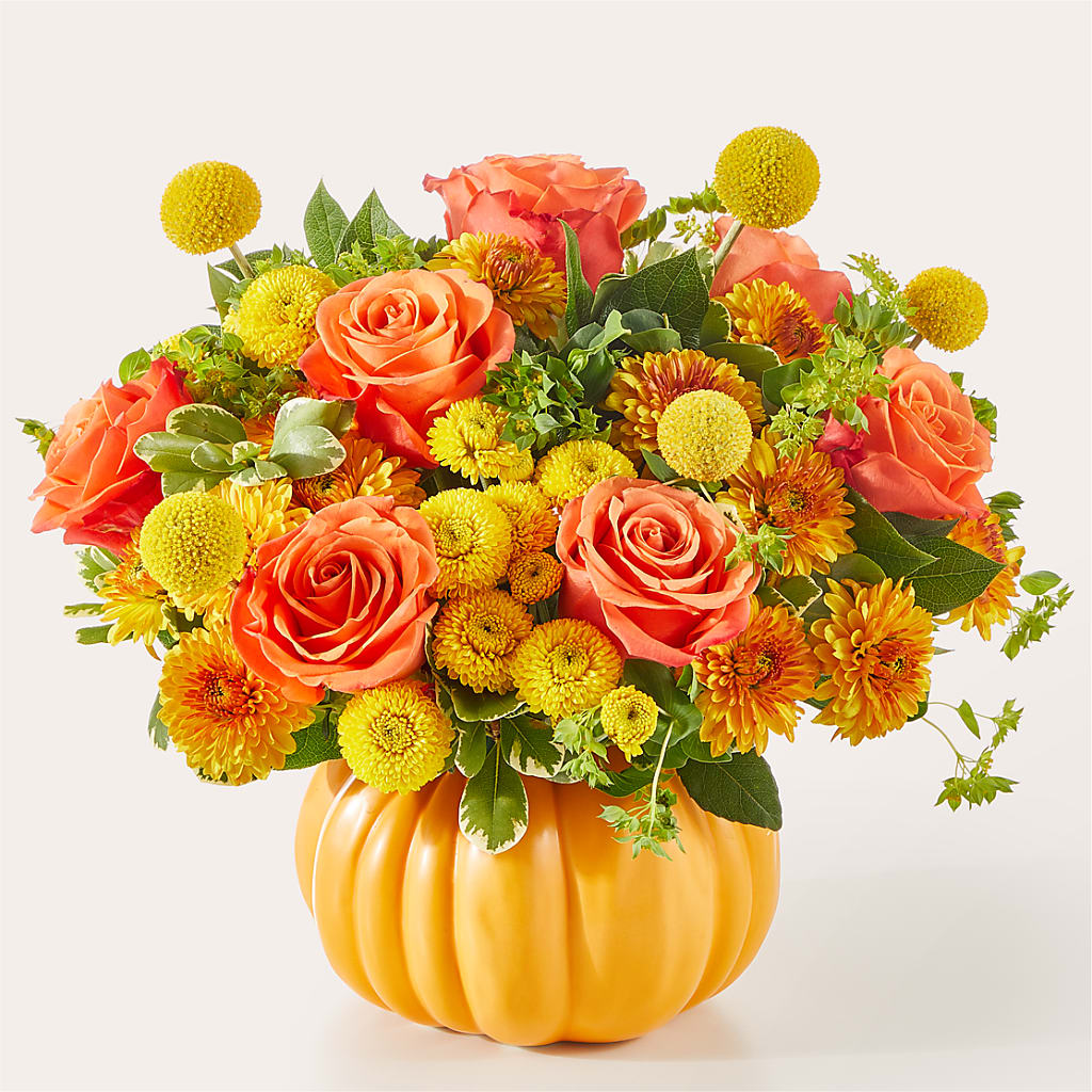 Gourdgeous Pumpkin – Golden Gate Flowers, Naples FL