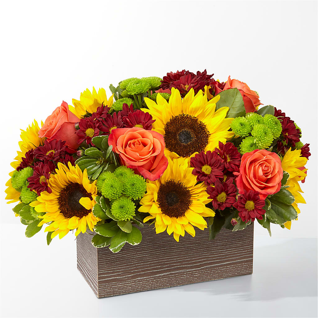 Happy Harvest Garden – Golden Gate Flowers, Naples FL