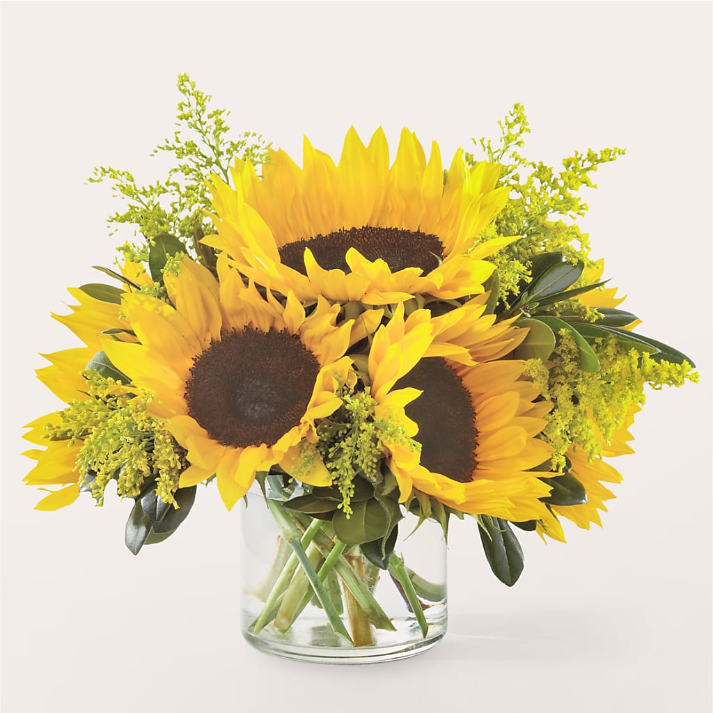 Beaming Sunflower Bouquet – Golden Gate Flowers, Naples FL