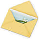 Greeting Card – Golden Gate Flowers, Naples FL
