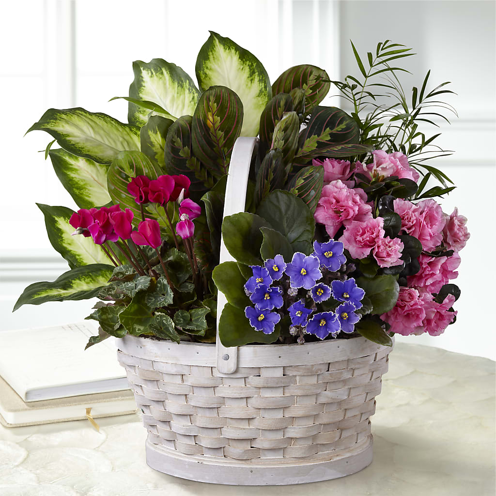 Peaceful Garden Planter – Golden Gate Flowers, Naples FL
