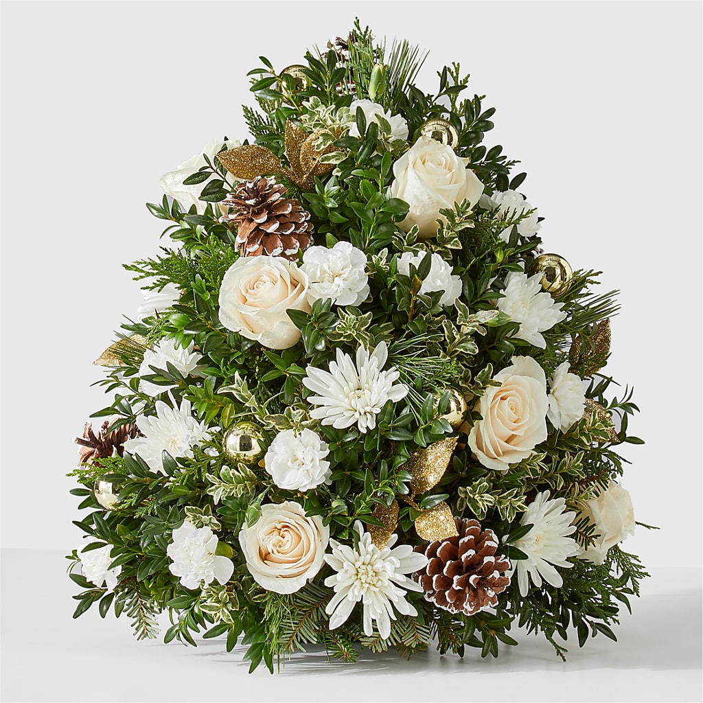Snowed In Tree – Golden Gate Flowers, Naples FL