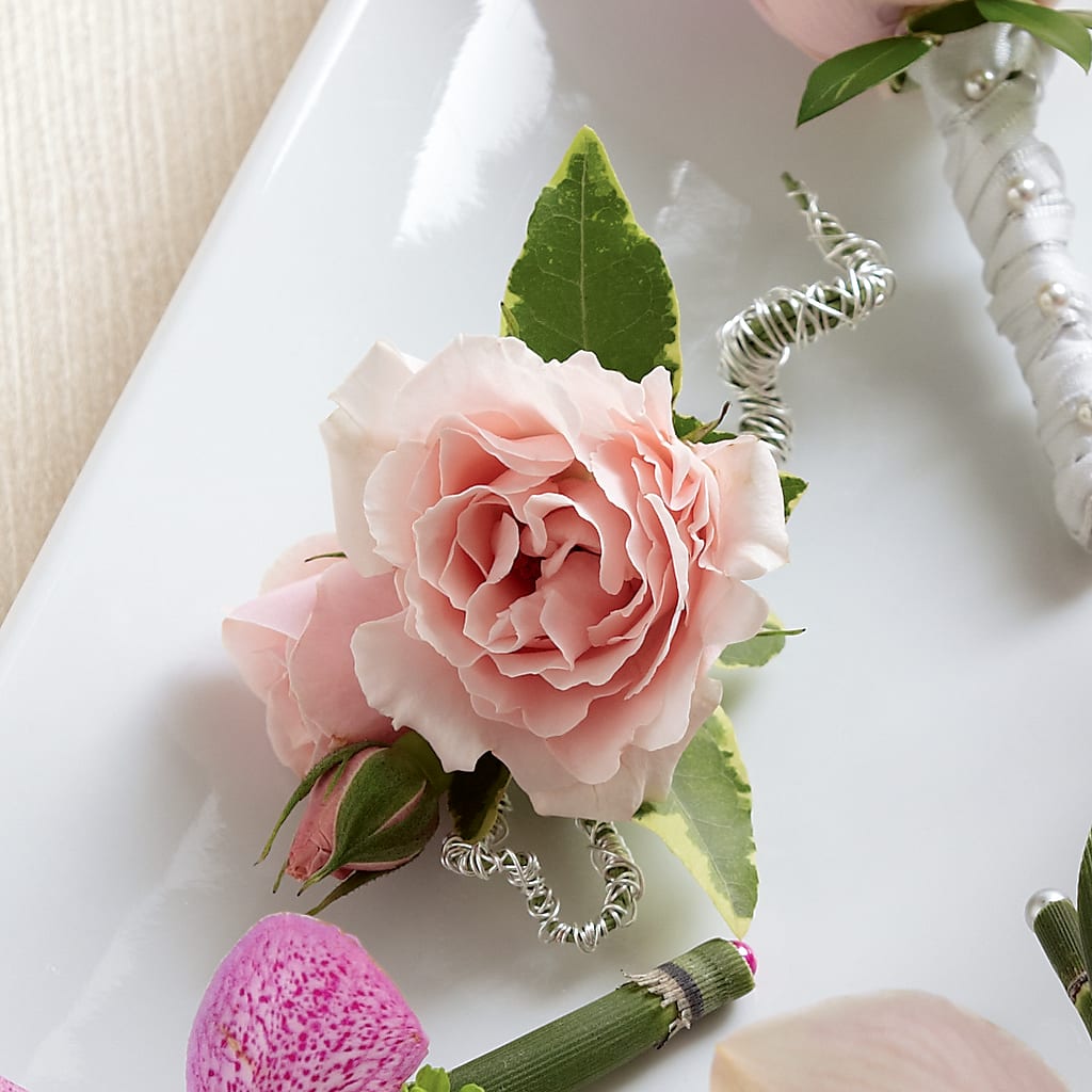 Pink Spray Rose Boutonniere – Golden Gate Flowers, Naples FL