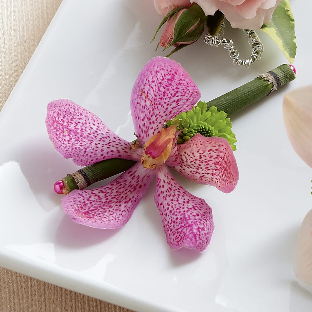 Pink Mokara Boutonniere – Golden Gate Flowers, Naples FL