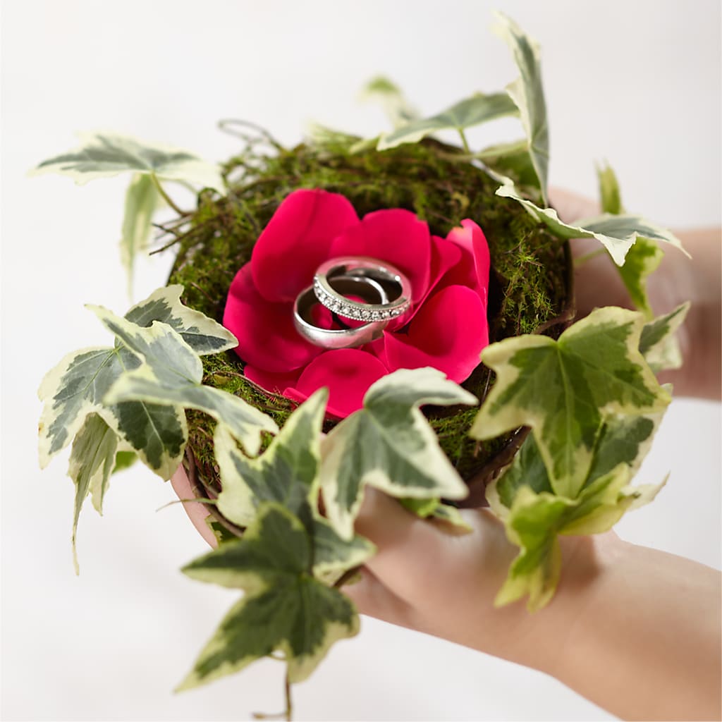 Lila Rose Ring Nest – Golden Gate Flowers, Naples FL