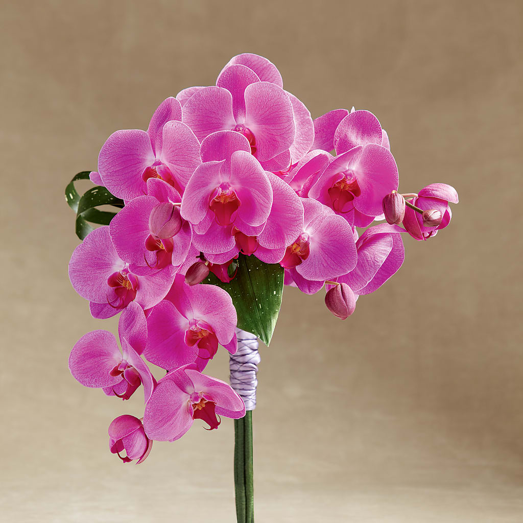 Glorious Bouquet – Golden Gate Flowers, Naples FL