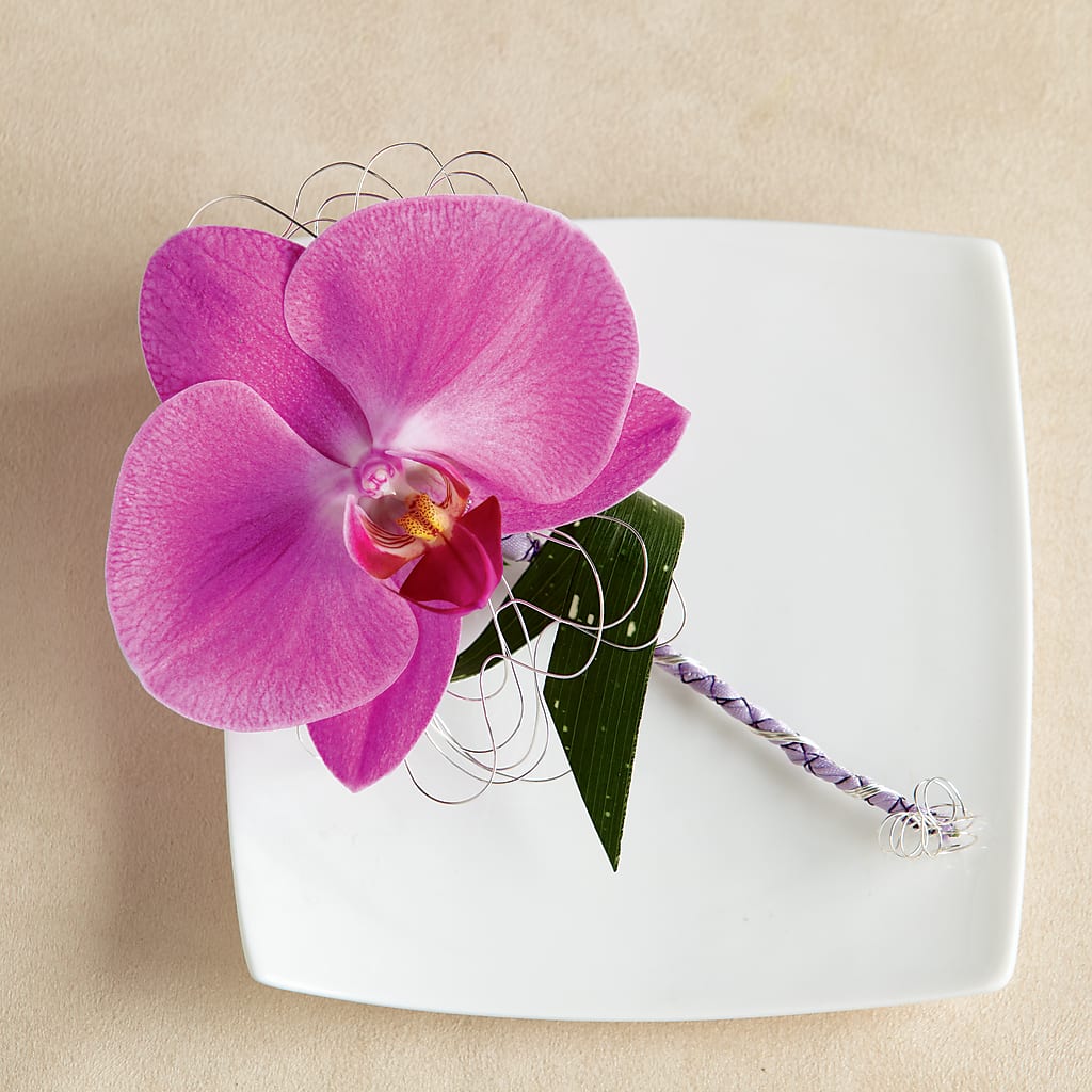 Glorious Boutonniere – Golden Gate Flowers, Naples FL