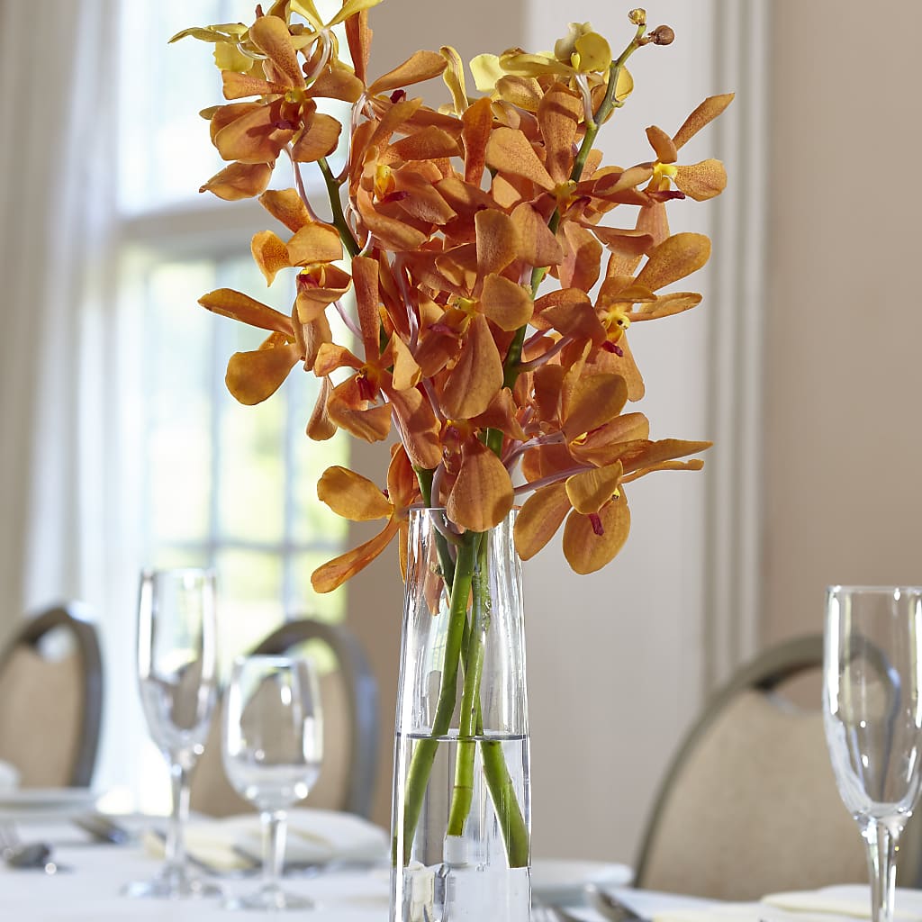 Orange Mokara Bud Vase – Golden Gate Flowers, Naples FL