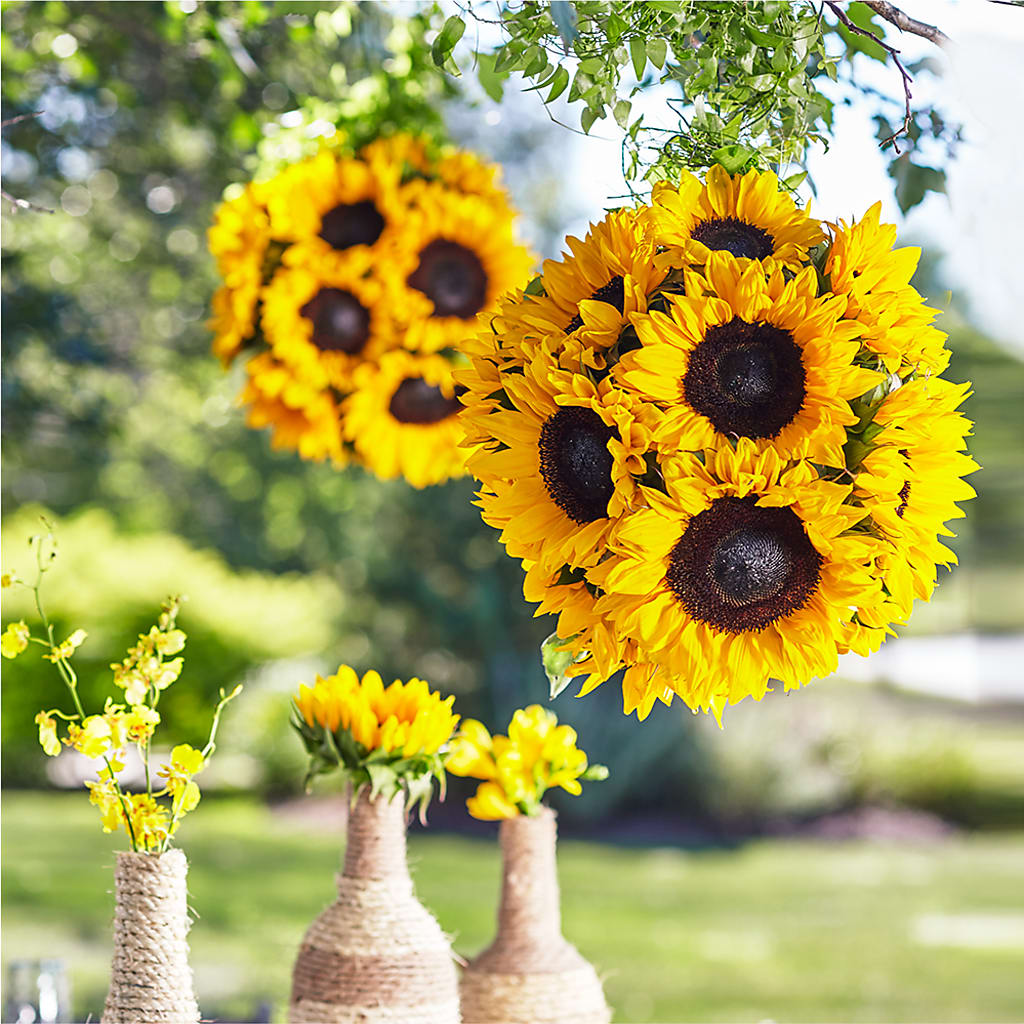 Sublime Garden Hanging Arrangement – Golden Gate Flowers, Naples FL