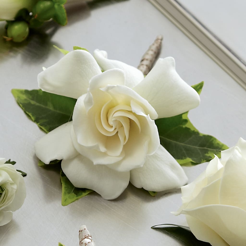 Gardenia Boutonniere – Golden Gate Flowers, Naples FL