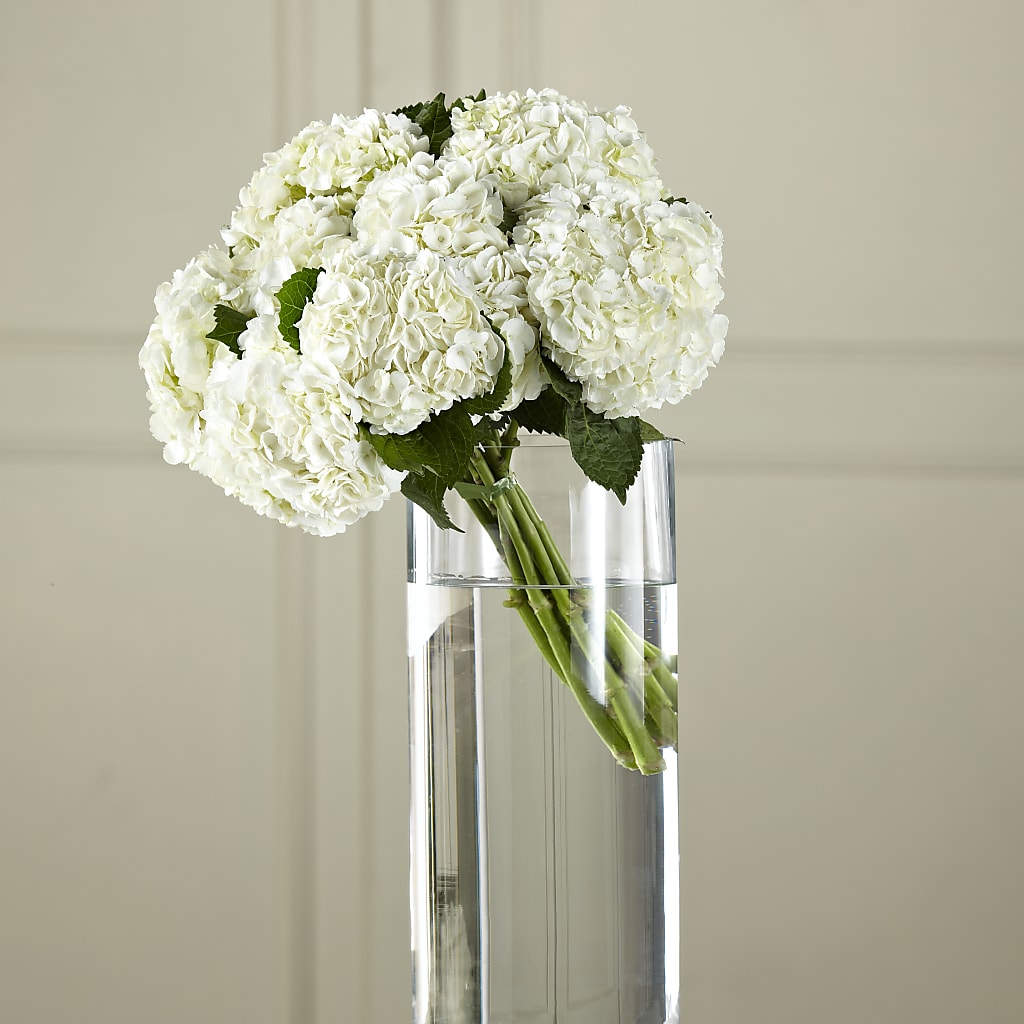 White Hydrangea Hand-Tied Bouquet – Golden Gate Flowers, Naples FL