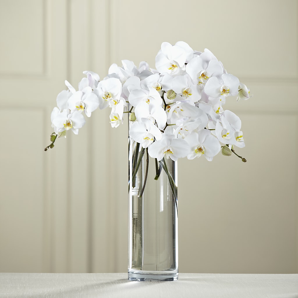 White Phalaenopsis Bouquet – Golden Gate Flowers, Naples FL