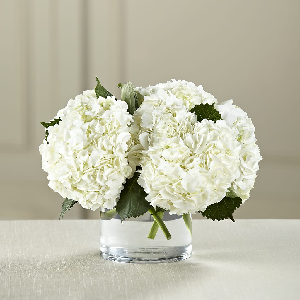 White Hydrangea Bouquet – Golden Gate Flowers, Naples FL