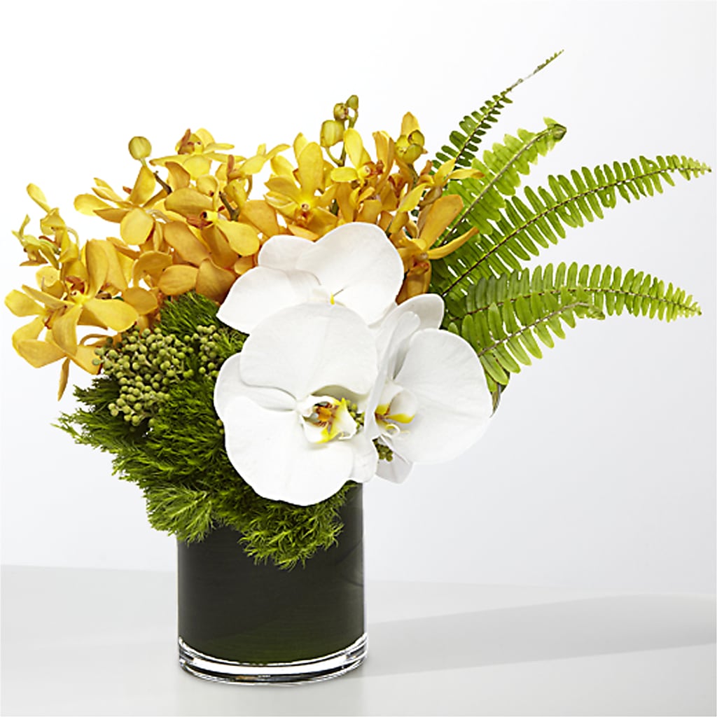 The Tropics –  Golden Gate Flowers, Naples FL