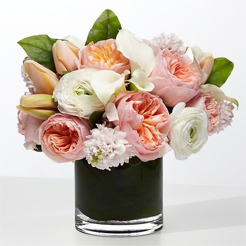 The Destiny –  Golden Gate Flowers, Naples FL