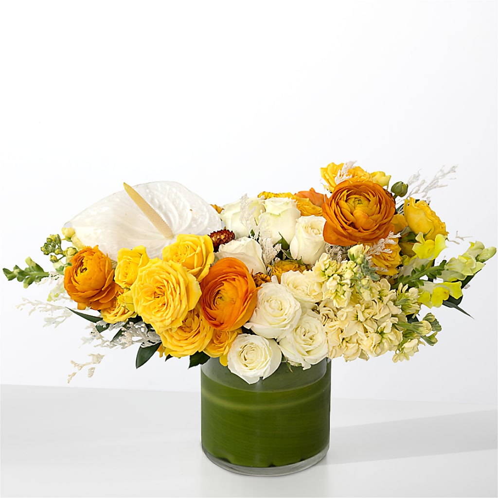 The Optimist –  Golden Gate Flowers, Naples FL