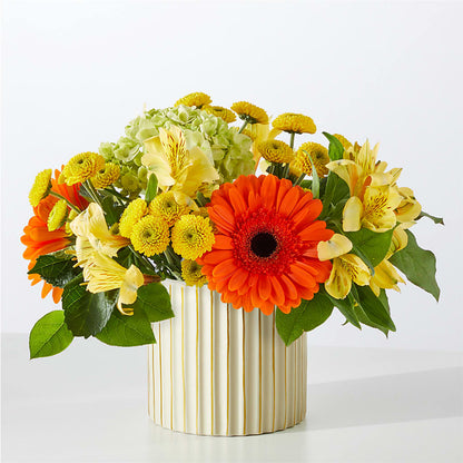 Autumn Sunshine Bouquet with Ivory Vase –  Golden Gate Flowers, Naples FL