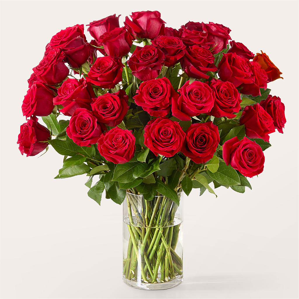 The One Red Rose Bouquet –  Golden Gate Flowers, Naples FL