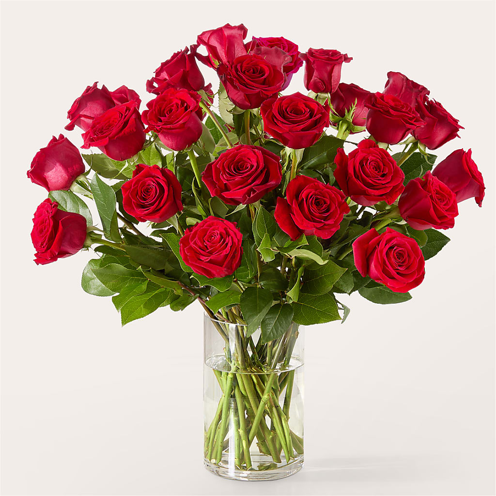 The One Red Rose Bouquet –  Golden Gate Flowers, Naples FL