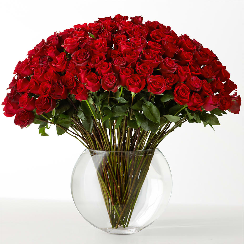 The Idealist –  Golden Gate Flowers, Naples FL