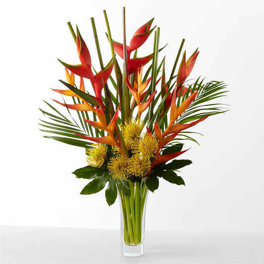 The Drama –  Golden Gate Flowers, Naples FL